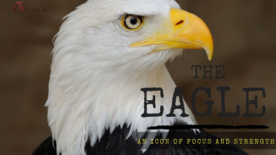 The Eagle: An Icon Of Focus And Strength
