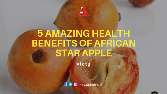 5 Amazing Health Benefits Of African Star Apple Agbalumo Dealtar Hope Movement Youth