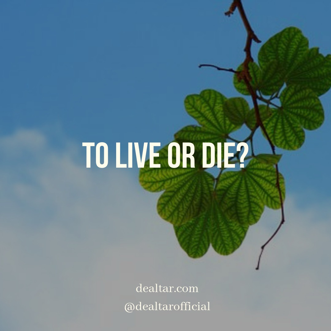 To Live Or Die