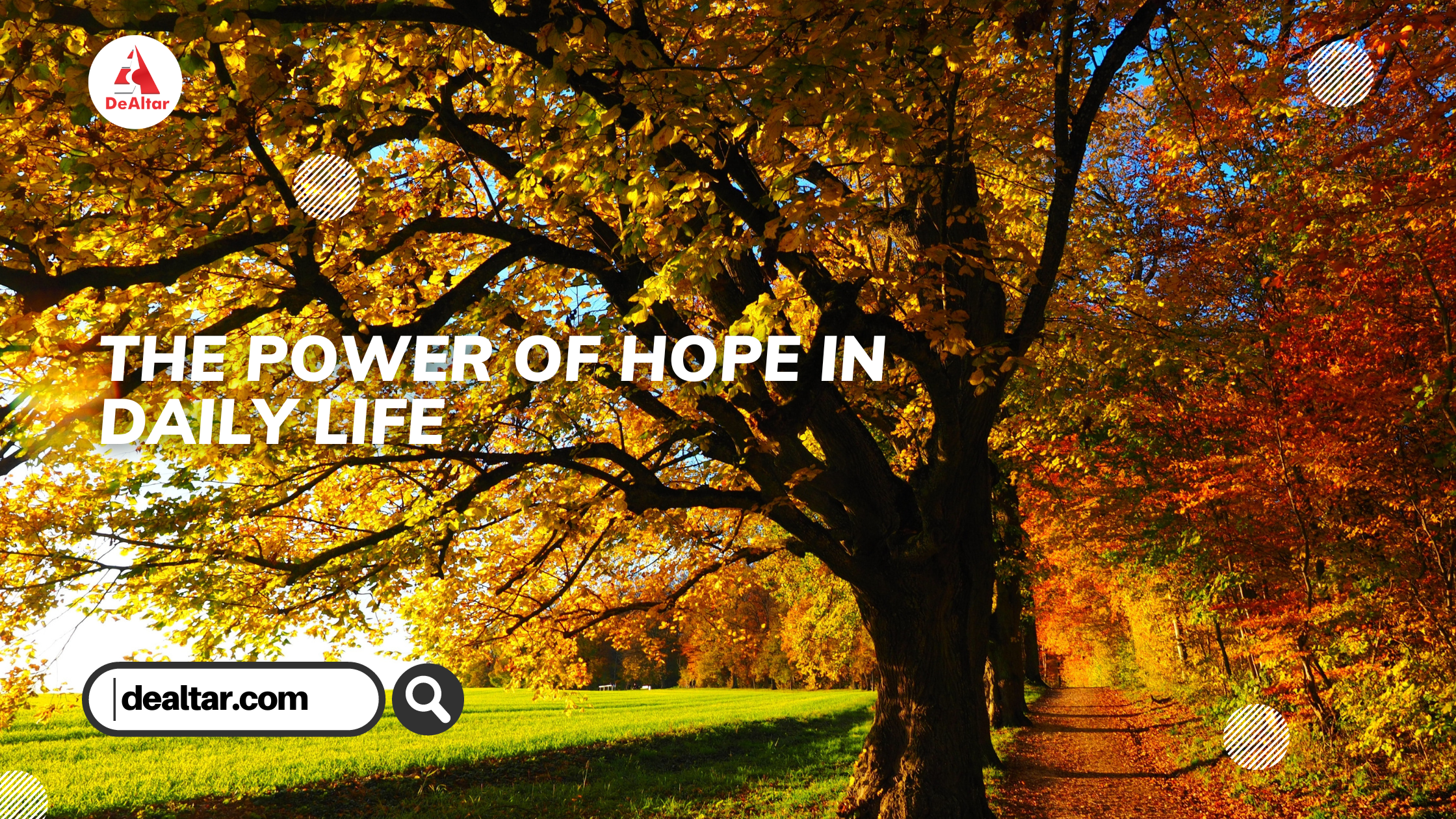 The Power Of Hope In Daily Life